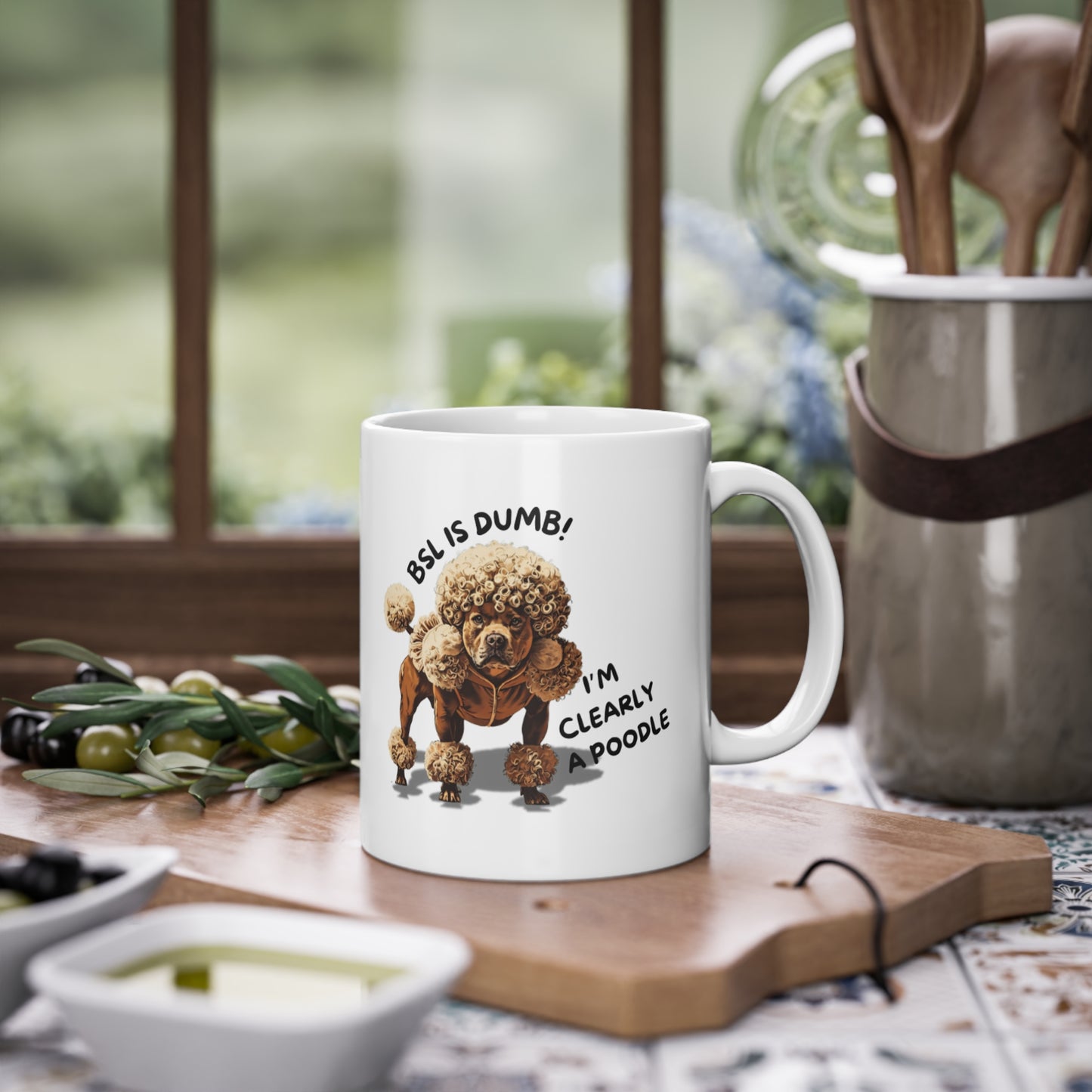 BSL is Dumb - Standard Mug