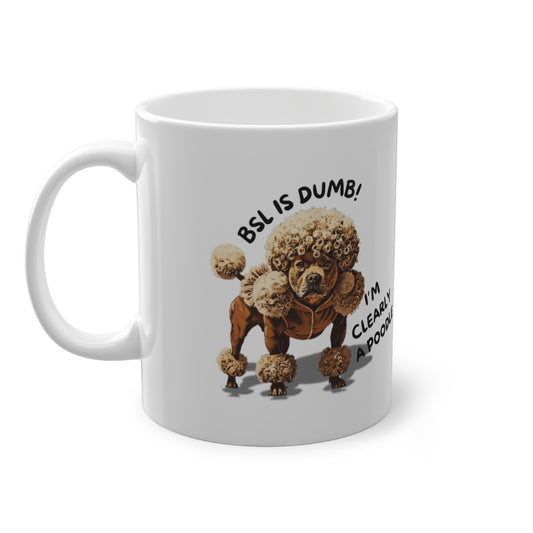 BSL is Dumb - Standard Mug