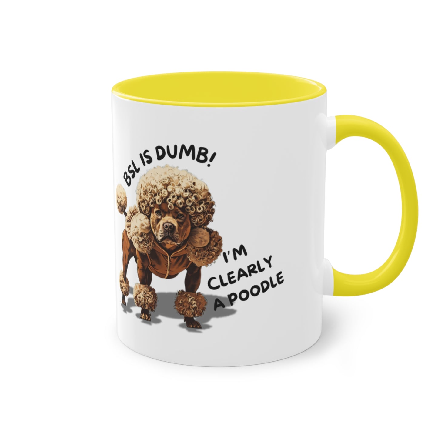 BSL is Dumb - Two-Tone Mug