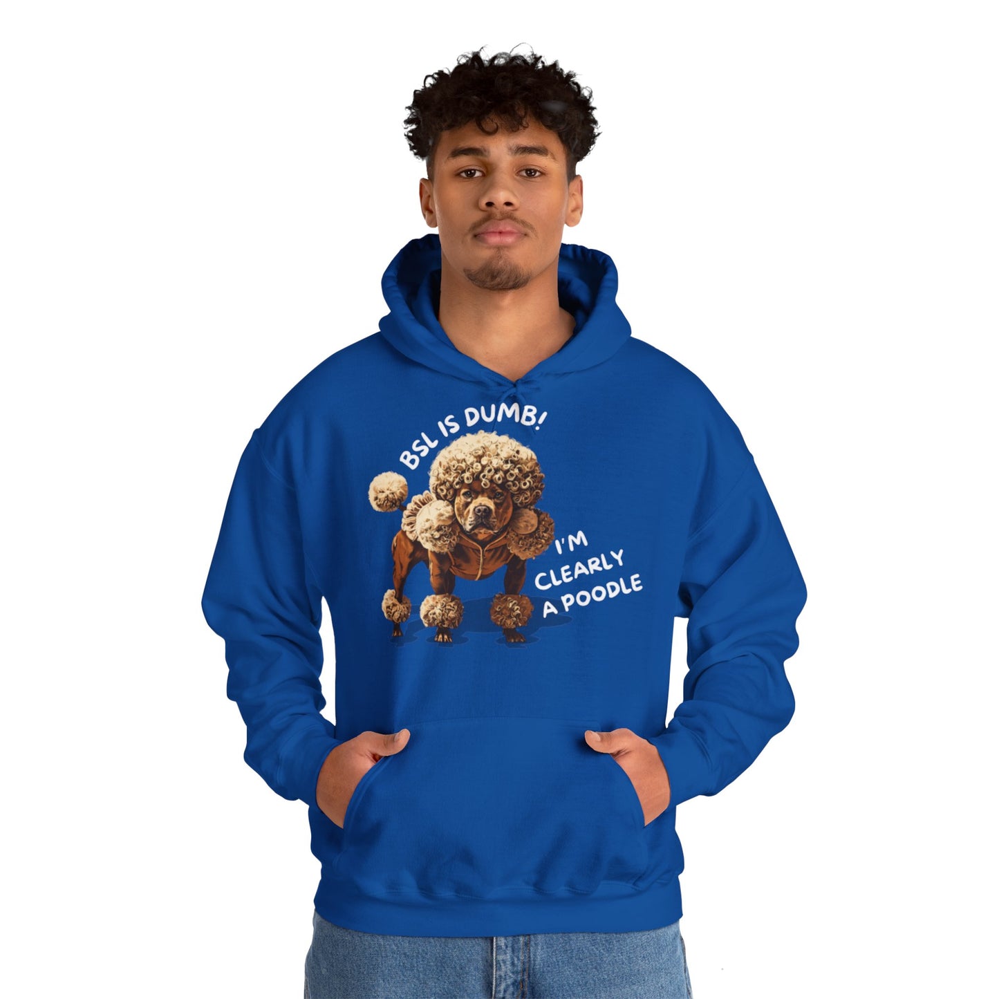 BSL IS DUMB - Hoodie