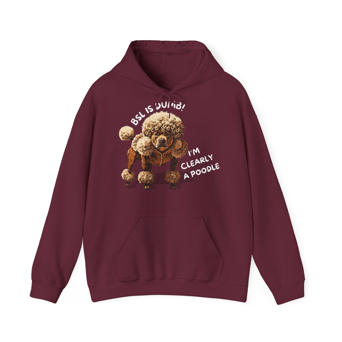 BSL IS DUMB - Hoodie