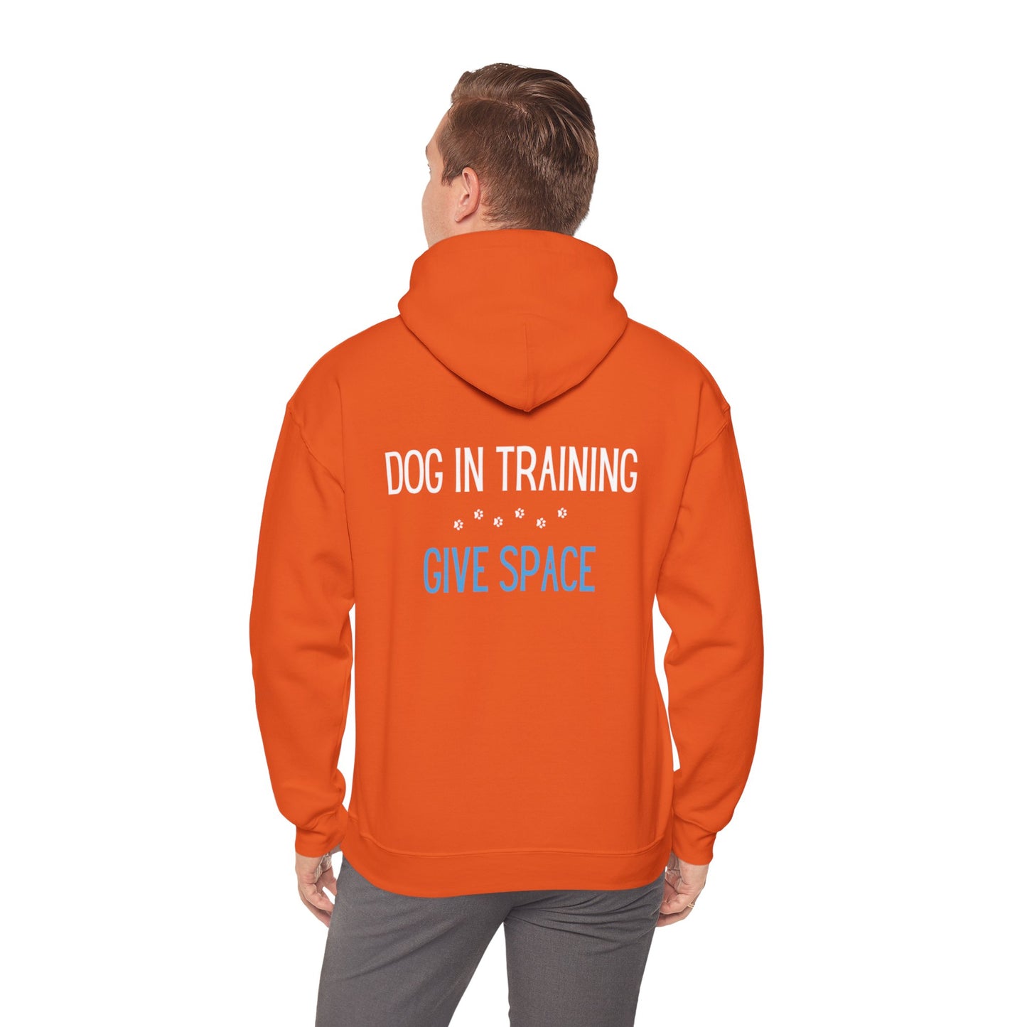 Reactive Dogs ARE Good Dogs - Hoodie