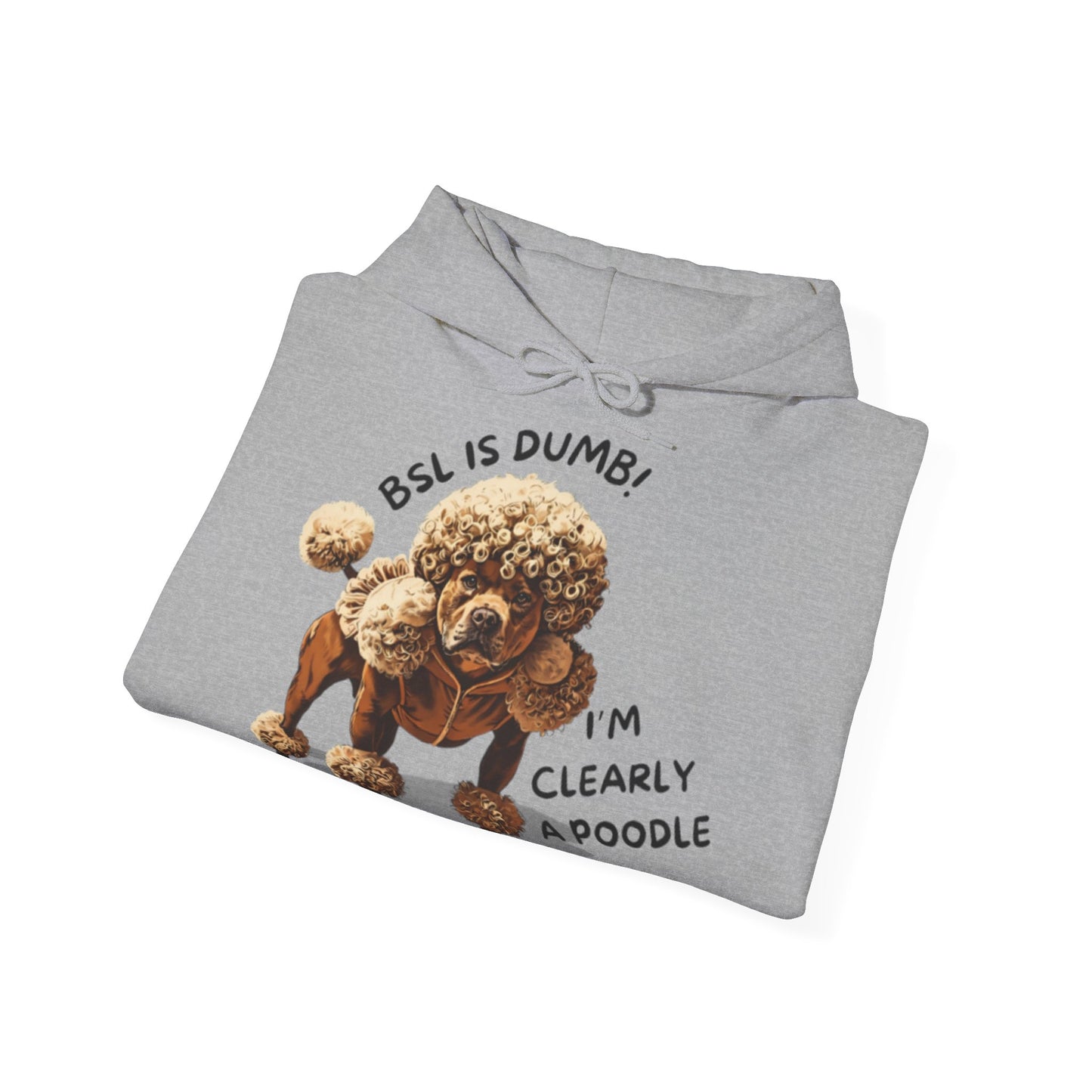 BSL IS DUMB - Hoodie