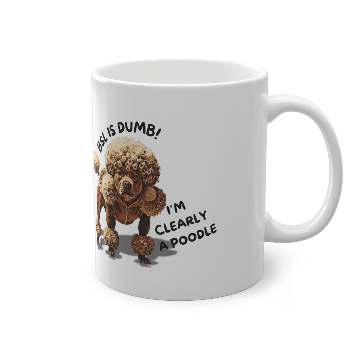 BSL is Dumb - Standard Mug