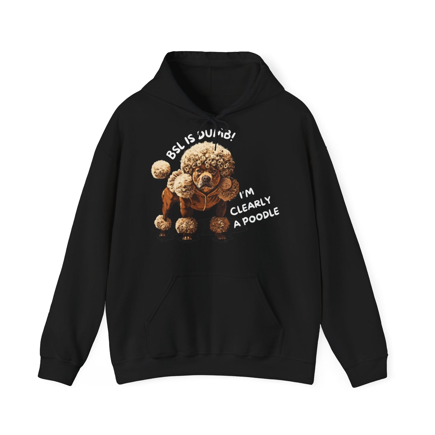 BSL IS DUMB - Hoodie