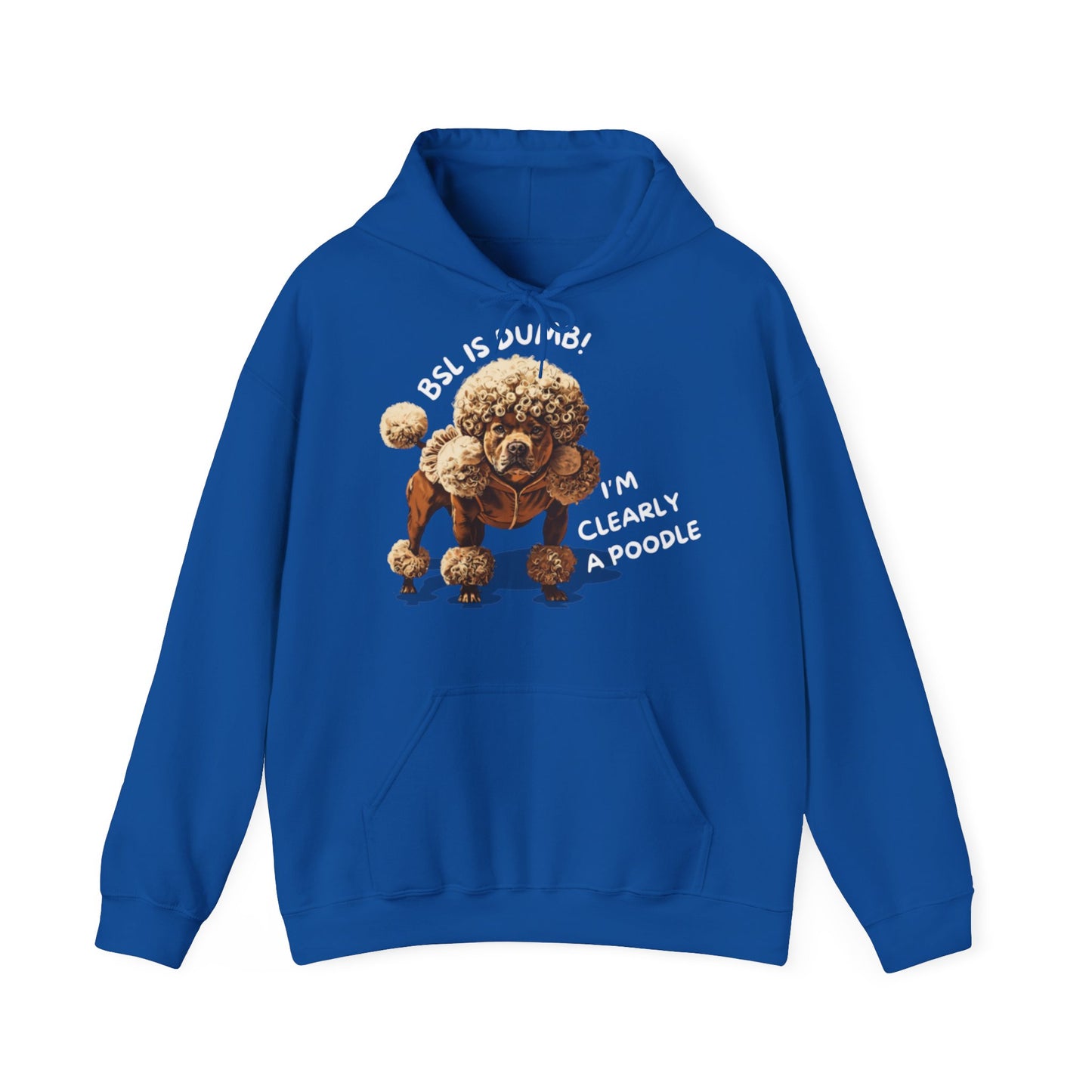 BSL IS DUMB - Hoodie